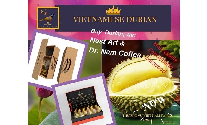 The 'Vietnamese Durian Week' programme is jointly held by the Vietnam Trade Office in Australia and the ASEAN Company, headquartered in New South Wales. (Photo: Vietnam+)