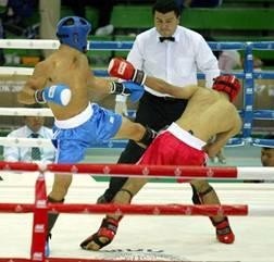 Vietnamese kickboxers strike Asian golds