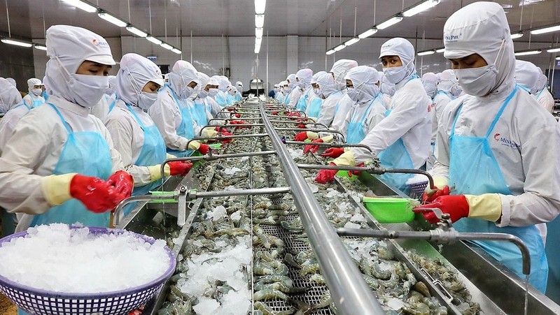 Vietnam exported US$323.3 million worth of shrimp to the US in the first six months of this year, up 29% over the same period last year. (Illustrative image)