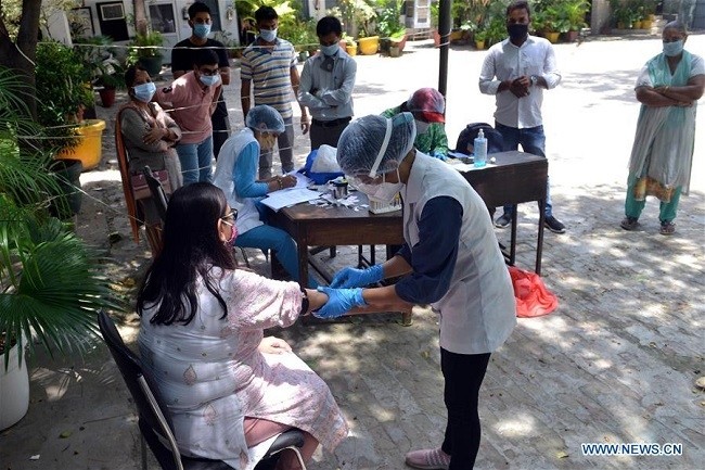 A health worker collects blood samples from a resident at a school during serological survey for COVID-19 screening in New Delhi, India, Aug. 6, 2020. (Photo: Xinhua)