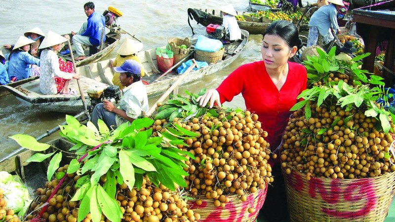 Vietnamese longan has characteristic aroma, small seeds and sweetness. (Illustrative image)
