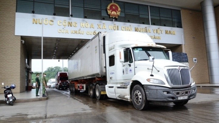 Trucks carrying dragon fruit travel through Kim Thanh Border Gate on the morning of August 17 to export the fruit to China.