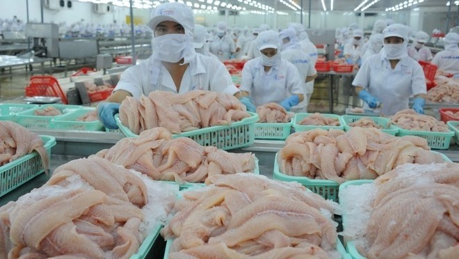 The EU overtook the US to become the second largest export market of Vietnamese tra fish fillets since early 2019. (Illustrative image)