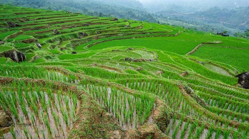 Only four hours from Hanoi, Pu Luong opens a wonderful window into rural life in Vietnam’s ethnic communities. (Photo: vietnam.travel)