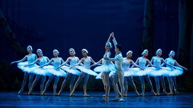The Vietnam National Music, Song and Dance Theatre had to postpone the performances of the ballet "Swan Lake" throughout the country due to Covid-19. 