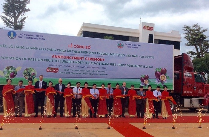 Delegates cut the ribbon to launch the export of the first tonnes of Vietnam-grown passion fruit to the EU under the EVFTA on September 16.