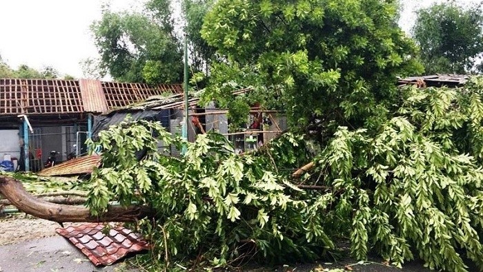 Storm Noul knocks down trees and blows roofs off houses in Hue City, Thua Thien Hue Province. (Photo: NDO/Cong Hau)