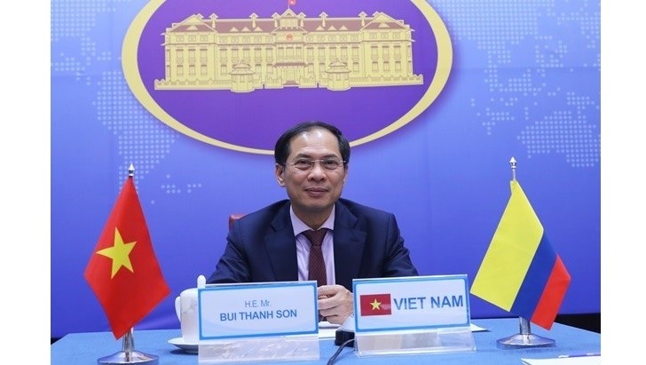 Permanent Deputy Foreign Minister Bui Thanh Son at the online political consultation with his Colombian counterpart Francisco Javier Echeverri on October 8 (Photo: VNA)