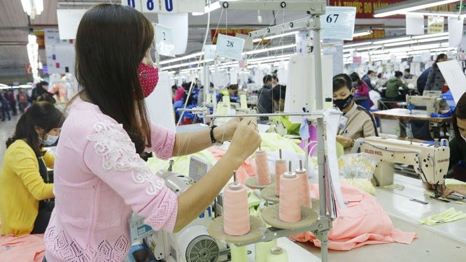 The country saw approximately 12,200 new enterprises set up in October this year. (Illustrative image)