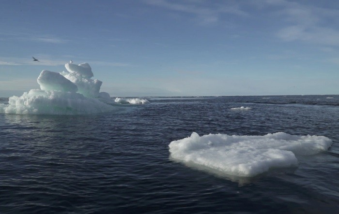 Warmer-than-normal seawater slows the formation of new ice in October. (Reuters)