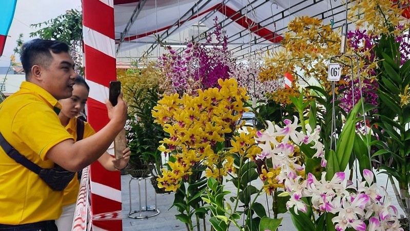 Visitors taking photos of beautiful orchids at the festival 