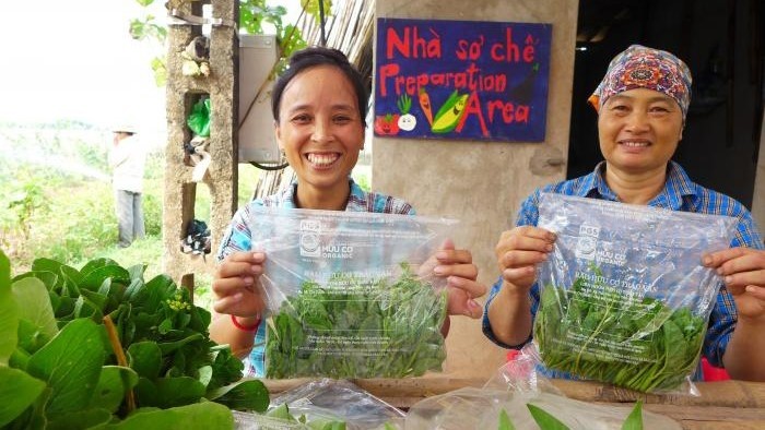 Belgium's Rikolto organisation has cooperated with Vietnamese partners to help domestic farmers build their capacity to produce and promote safe vegetables. (Photo: Rikolto Vietnam)