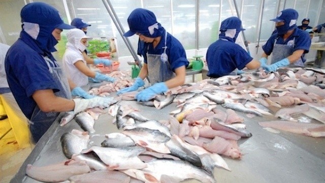 China continues to occupy the largest exports of Vietnamese tra fish.