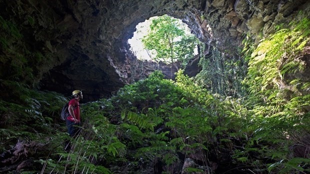 A volcanic cave in the Dak Nong Geopark (Photo: VNA)