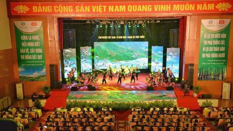An art performance at the celebration ceremony (Photo: baonghean.vn)