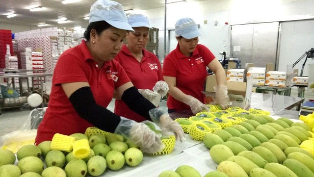 RCEP is expected to open up a potential market for tropical agricultural products and processed foods. (Illustrative image/Hai Anh)
