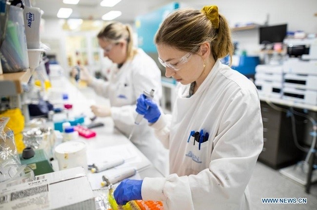 File photo taken on April 1, 2020 shows researchers working at a lab of the University of Queensland (UQ) in Brisbane, Australia. (Source: University of Queensland/Handout via Xinhua)