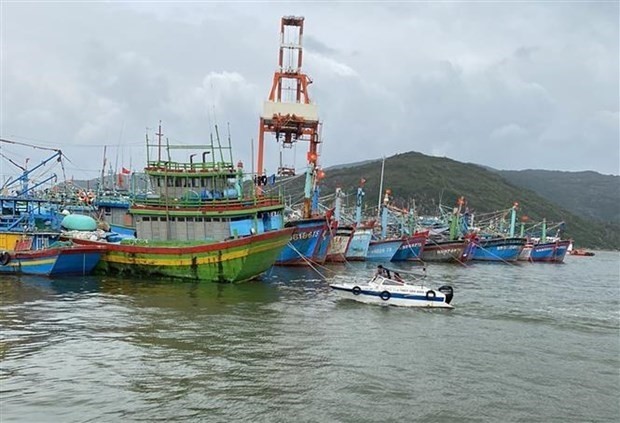 Vietnamese fishing boats (Photo: VNA)