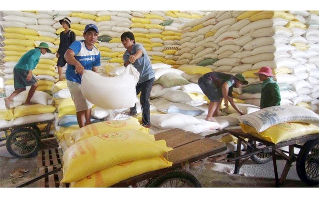 Packing rice for export at the Song Hau Food Company under Vietnam Southern Food Corporation. (Photo: Vu Sinh)