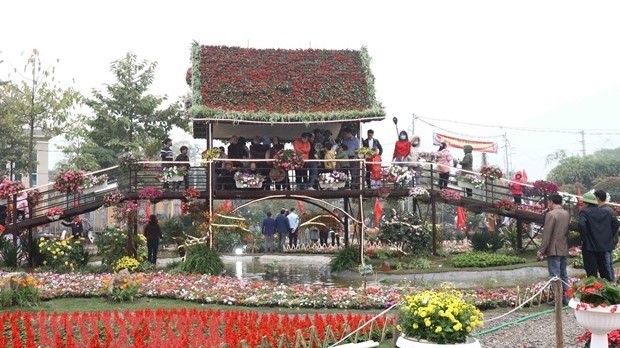Van Giang district flower festival attracts many tourists. (Photo:VNA)