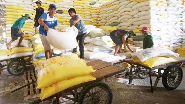 Workers load bags of rice in Song Hau Food Company under the Vietnam Southern Food Corporation. (Photo: VNA)