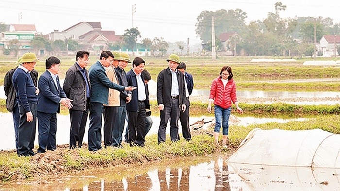 A working mission from the Ministry of Agriculture and Rural Development evaluates the post-disaster agricultural production recovery in Ha Tinh Province, January 5, 2021. (Photo: NDO/THANH HOAI)
