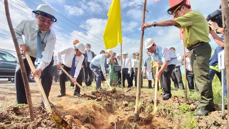 After the launch ceremony, Ben Tre started planting trees on major roads, urban areas, and tourist spots in Binh Dai district. (Photo: VNA)