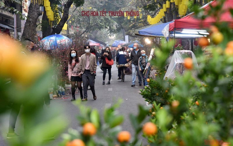 Hang Luoc Flower Market is only held once per year on the occasion of the Lunar New Year