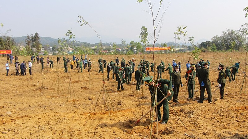 A tree planting festival in Quang Ninh Province