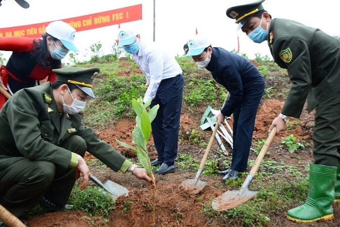 Forces in Yen Bai Province participate in the tree planting festival. (Photo: NDO)