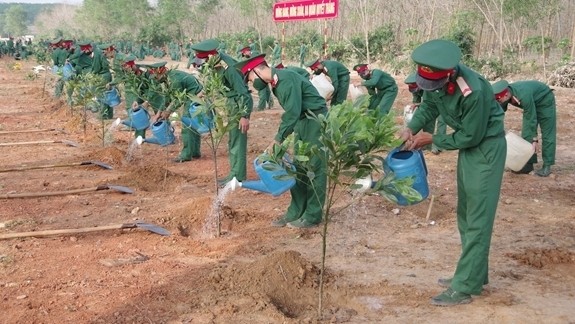 The whole country will embrace the tree-planting festival with even higher determination in order to plant additional one billion trees in the 2021-2025 period. (Illustrative image/qdnd.vn)
