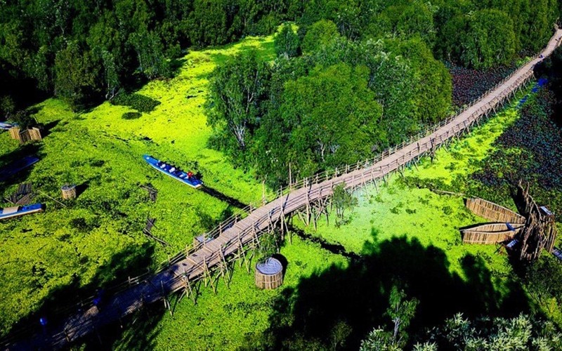 The “ten thousand step” bamboo bridge, with a total length of more than 10km, the longest bamboo bridge in Vietnam.
