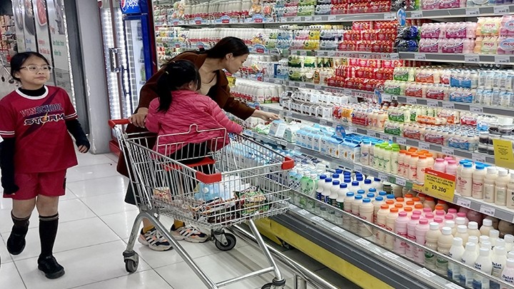 Vietnamese retail sector needs new breakthroughs