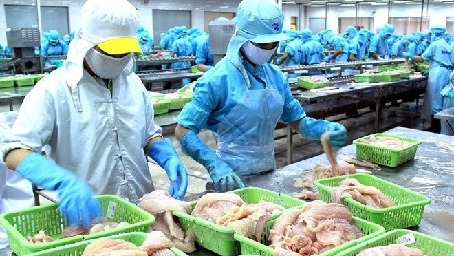 Vietnam is striving to achieve total fishery output of 9.8 million tonnes and export revenue of US$14-US$16 billion per year. (Illustrative image)