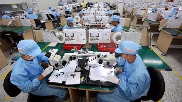 Production lines of Young Poong Electronics VINA at Binh Xuyen II industrial park, Vinh Phuc province (Photo: VNA)