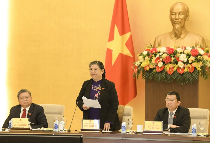 Standing NA Vice Chairwoman Tong Thi Phong (Photo: quochoi.vn)
