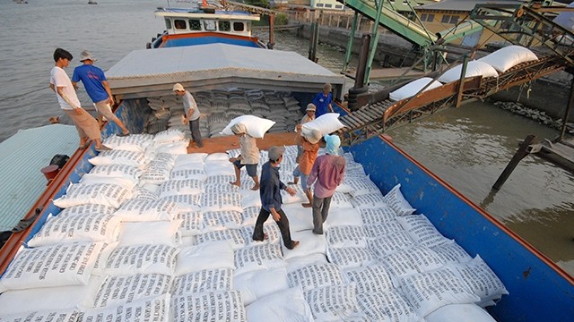 Exporting rice in Long An province. (Photo: NDO)