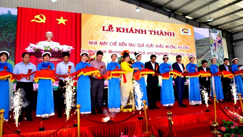 The factory was put into operation after six months of construction. (Photo: NDO/Quoc Hong)