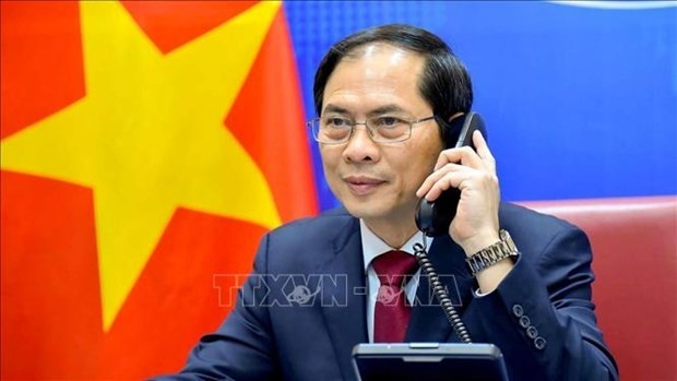 Foreign Minister Bui Thanh Son (Photo: VNA) 