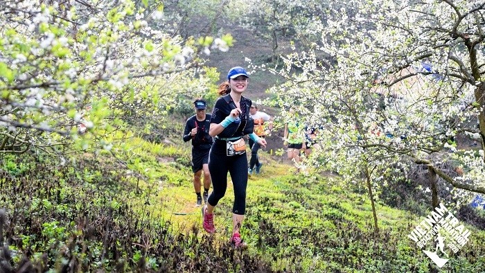 The race allows participants to run through plum gardens and green tea fields in Moc Chau (Photo: VNA)