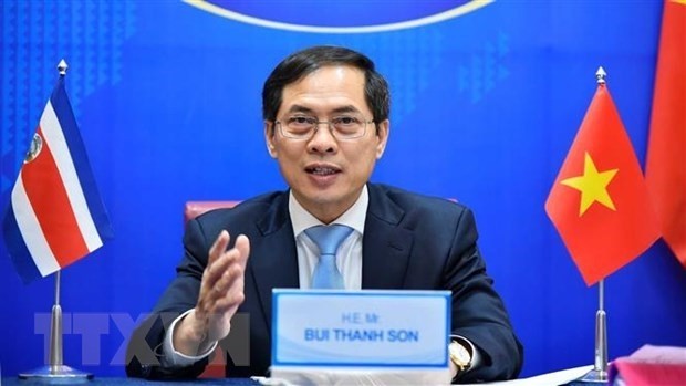 Foreign Minister Bui Thanh Son (Photo: VNA)