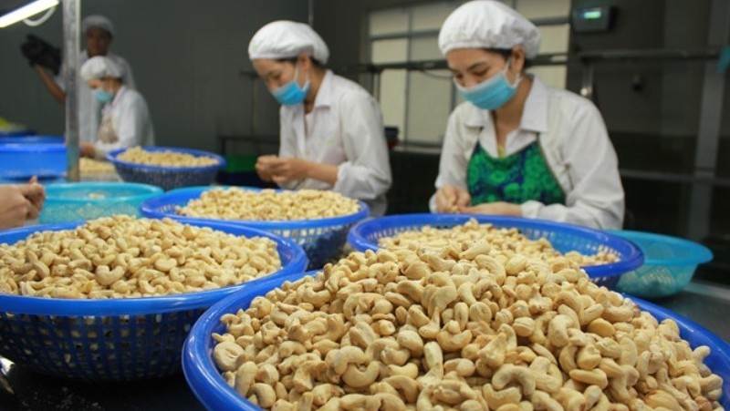 Vietnamese cashew nuts are currently occupying a large proportion of the market share in the Turkish market.