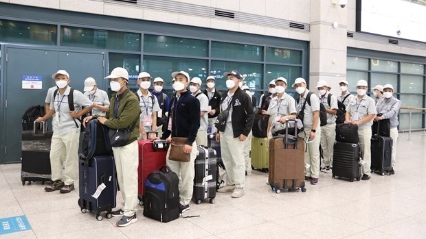 A flight of the ROK’s Asiana Airlines on May 20 night brought 24 Vietnamese labourers to the ROK (Photo: VNA)