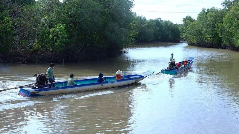 Voters in Ca Mau travel by canoe to polling places.