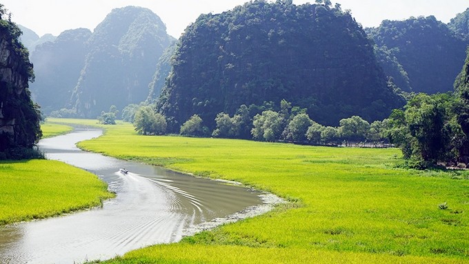 The Tam Coc rice field by Ngo Dong river. (Photo: Le Hong)