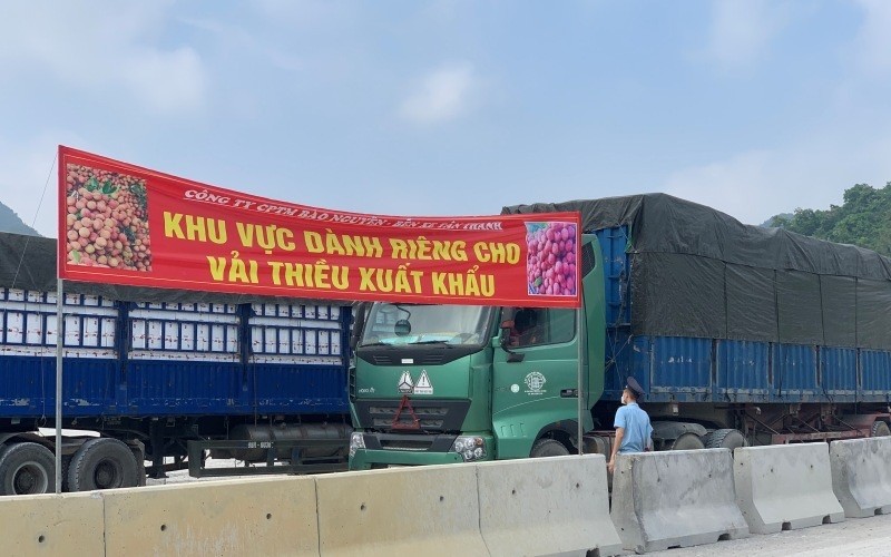 A parking area for trucks carrying lychee at Tan Thanh Border Gate.