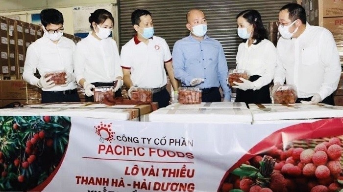 Pacific Foods exports first batch of Thanh Ha lychees to EU. (Photo: VNA)