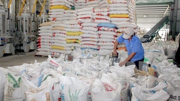 Vietnamese firms continue to win bids for rice exports since the beginning of the year. (Photo: VNA)