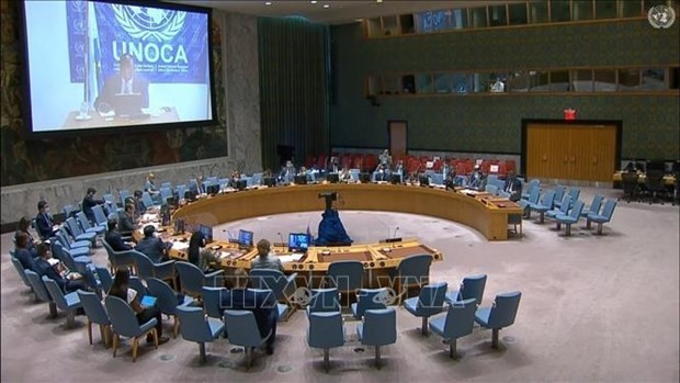 An overview of the UN Security Council's six-month periodical meeting on the situation in Central Africa. (Photo:VNA)