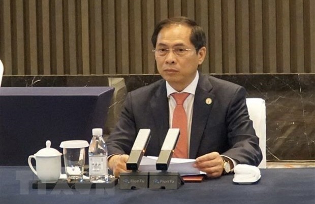 Vietnamese Minister of Foreign Affairs Bui Thanh Son (Photo: VNA)
